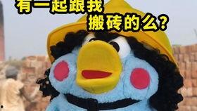 阿星阿奇的全部吃瓜视频