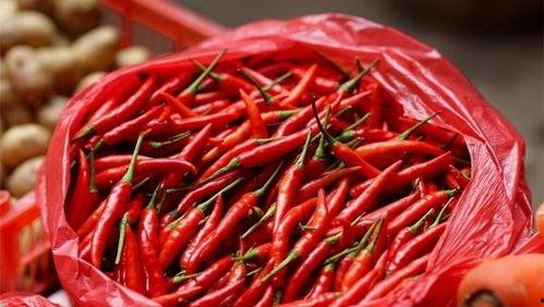 北美吃瓜小辣椒视频,揭秘北美娱乐圈的幕后故事