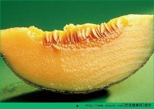 哈密瓜吃哪种好一点呢视频,视频揭秘哪种口感更佳