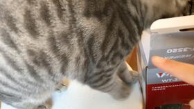 麻麻吃瓜视频全集