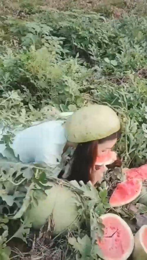 漂亮姐姐吃瓜完整视频,笑料百出，精彩瞬间不容错过