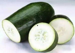 哒哒吃瓜最新视频