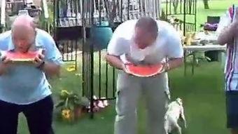 吃瓜比赛摸脖子视频大全,摸脖子动作大盘点