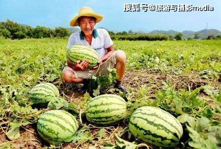 武汉崇仁路吃瓜视频,一幕引发网友热议的武汉街头奇观