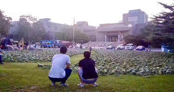 成都美院吃瓜事件视频,视频揭露校园风波背后的真相